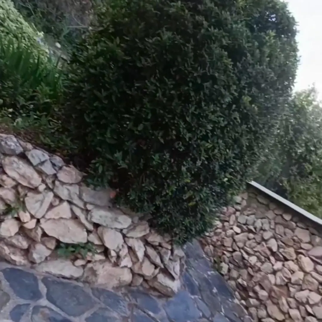 Casa Cueva 